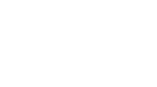 logo firmy stake.com